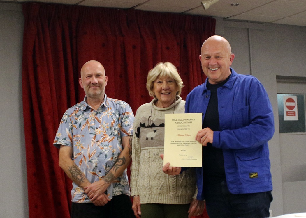 Matthew Porter Best Mini Plot